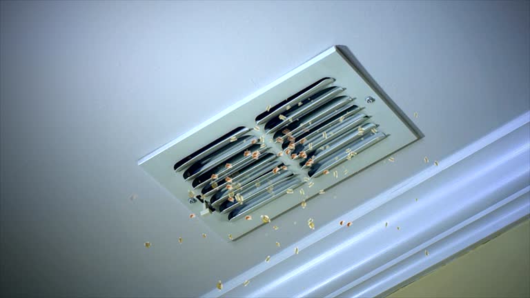 Best Air Duct Cleaning Near Me  in Breese, IL