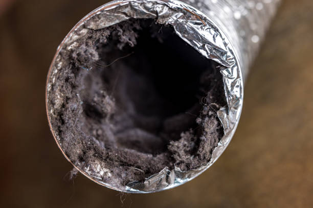 Best Emergency Air Duct Cleaning  in Breese, IL